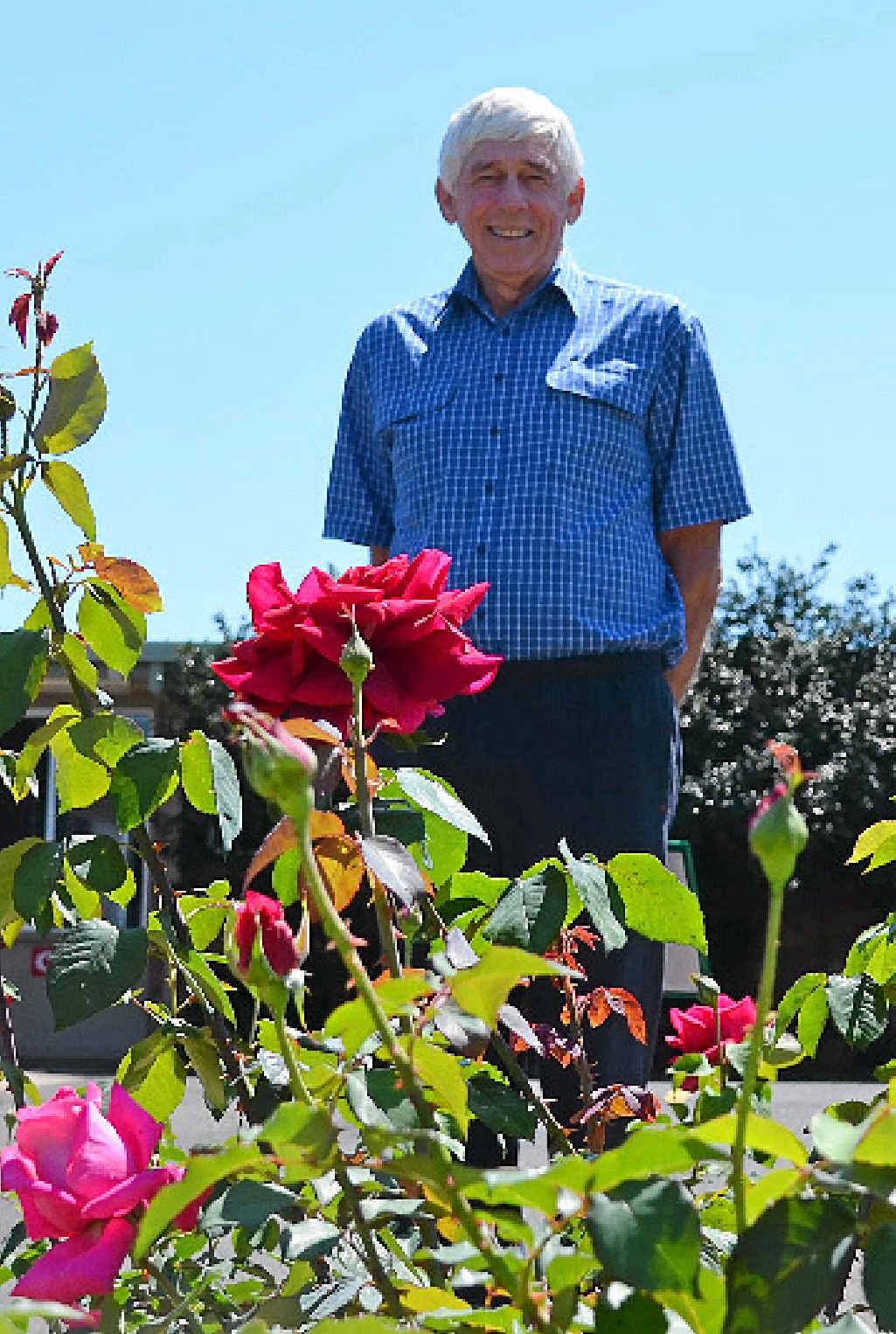QUALITY GARDENS: Warwick Horticultural Spring Garden Competition judge Barry Murphy said the standards of the 26 gardens in this year’s competition were up on previous years, despite the dry weather. QUALITY GARDENS: Warwick Horticultural Spring Garden Competition judge Barry Murphy said the standards of the 26 gardens in this year’s competition were up on previous years, despite the dry weather.